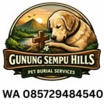 Game Online dan Perannya dalam Mengembangkan Kemampuan Analisis